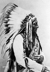 Chief Sitting Bull, Nordamerika
